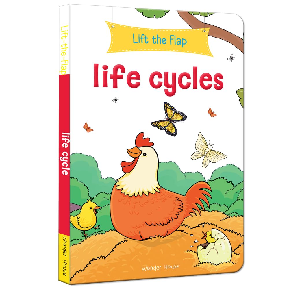 LIFE CYCLES lift the flap
