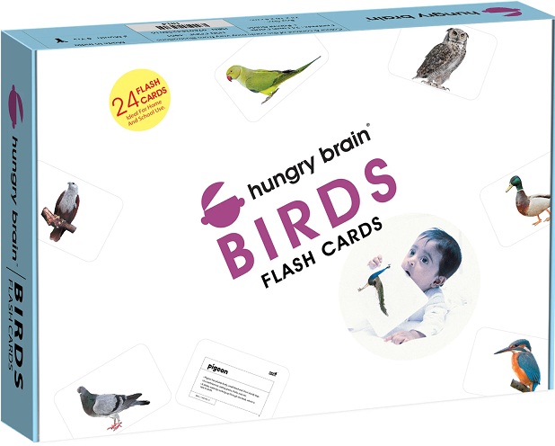 HUNGRY BRAIN BIRDS flash cards