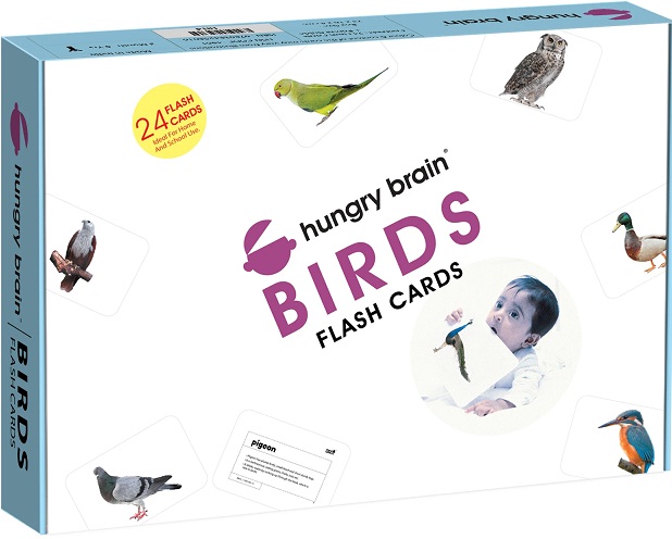 HUNGRY BRAIN BIRDS flash cards