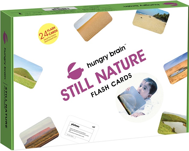 HUNGRY BRAIN STILL NATURE flash cards
