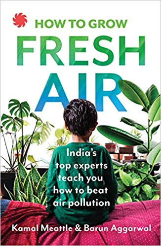 HOW TO GROW FRESH AIR