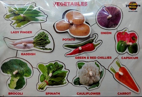 VEGETABLES PLUG PUZZLE