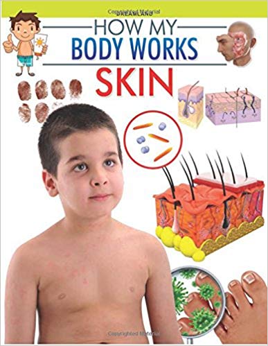 HOW MY BODY WORKS skin