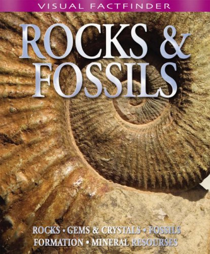 ROCKS & FOSSILS