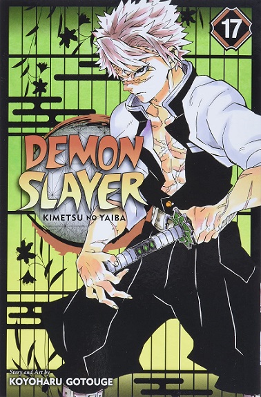 DEMON SLAYER 17