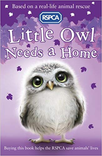 LITTLE OWL NEEDS A HOME