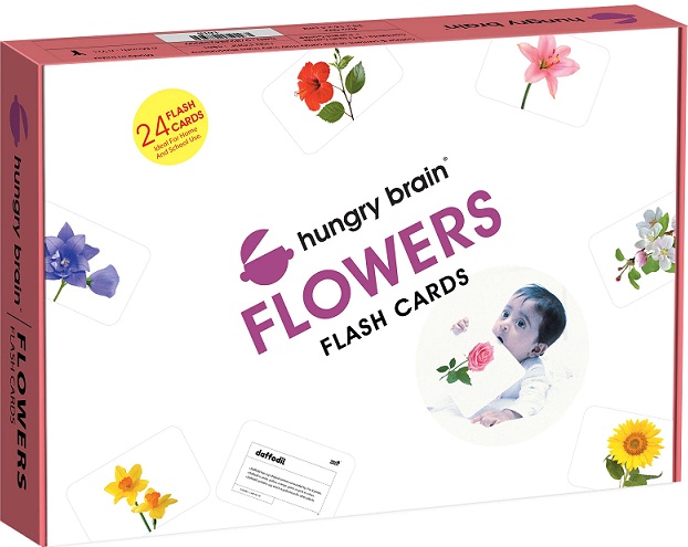 HUNGRY BRAIN FLOWERS flash cards