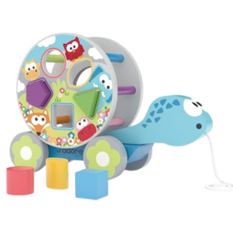 TURTLE SHAPESORTER