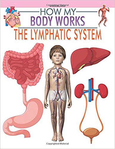 HOW MY BODY WORKS the lymphatic system
