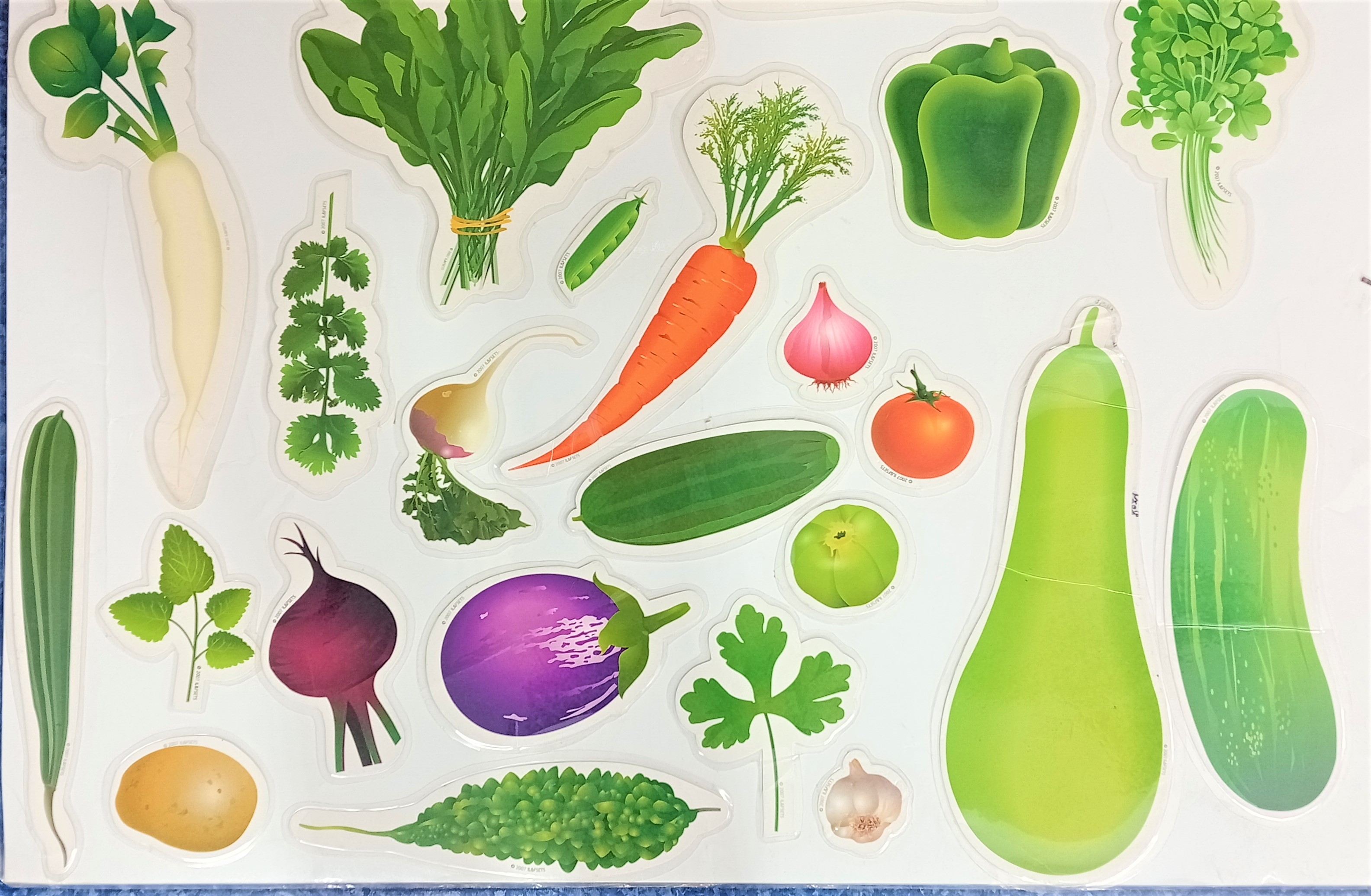 VEGETABLES cut out flash card