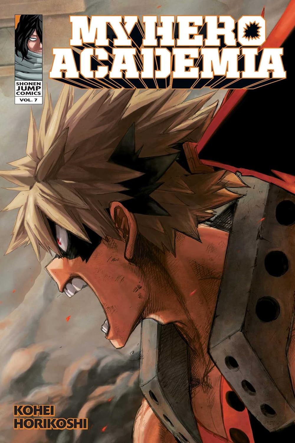 MY HERO ACADEMIA vol 7