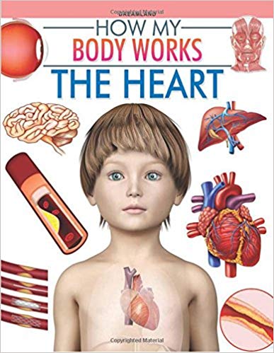 HOW MY BODY WORKS the heart