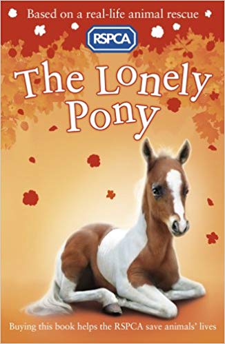 THE LONELY PONY