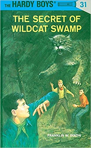 NO 031 THE SECRET OF WILDCAT SWAMP