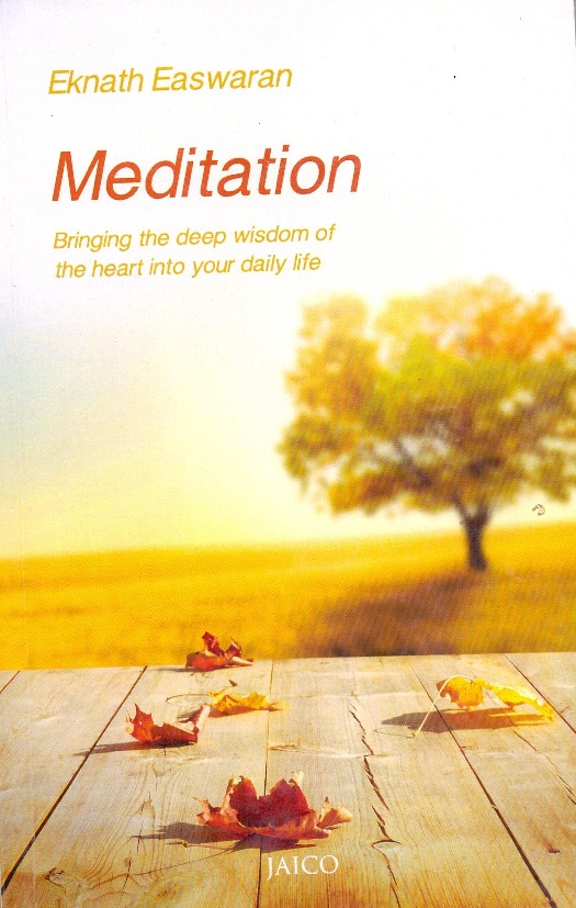 MEDITATION (EE)