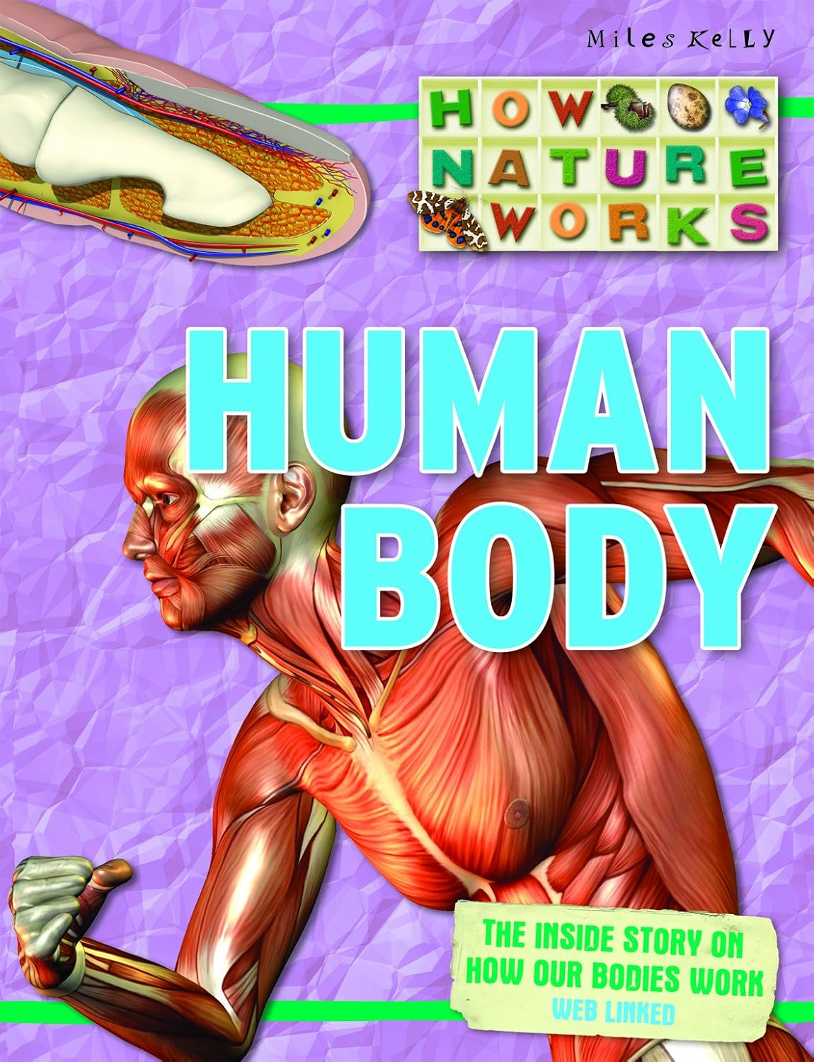 HOW NATURE WORK HUMAN BODY