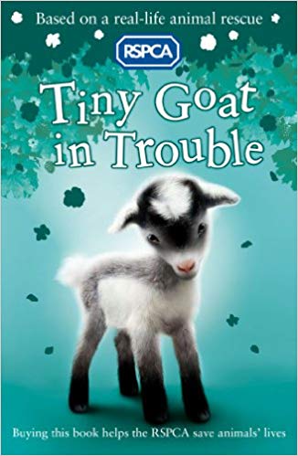 TINY GOAT IN TROUBLE