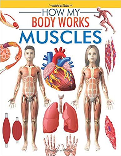 HOW MY BODY WORKS muscles