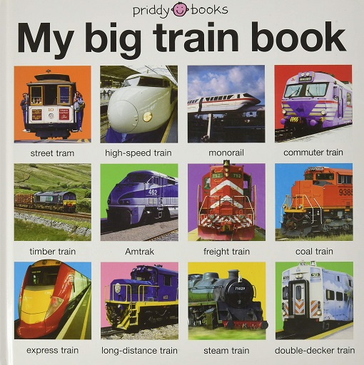 MY BIG TRAIN BOOK