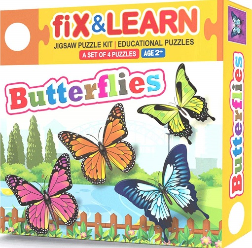 FIX & LEARN BUTTERFLIES