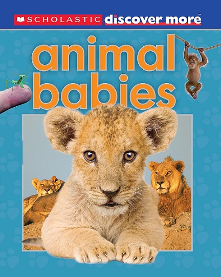 ANIMAL BABIES discover more