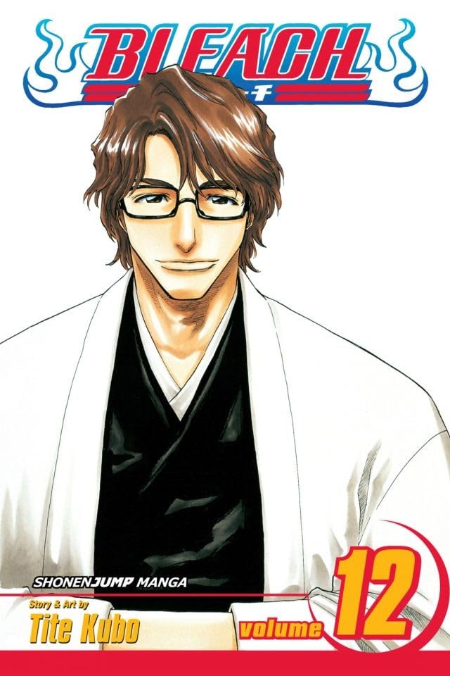 BLEACH 12