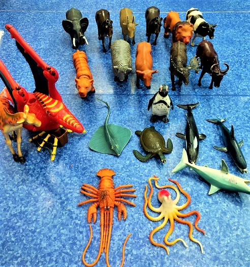 WILD,FARM,OCEAN ANIMALS