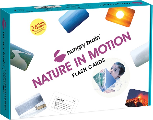 HUNGRY BRAIN NATURE IN MOTION flash cards