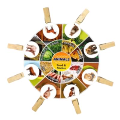 ANIMAL FOOD & SHELTER WHEEL 