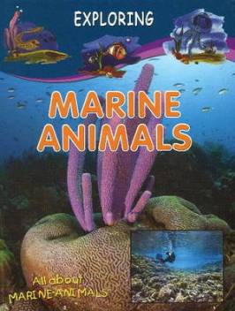 EXPLORING MARINE ANIMALS