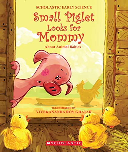 SMALL PIGLET LOOKS FOR MOMMY