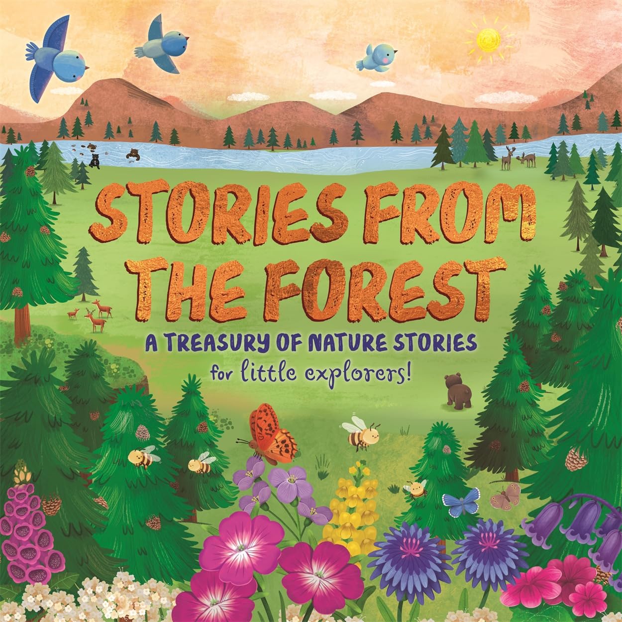 STORIES FROM THE FOREST