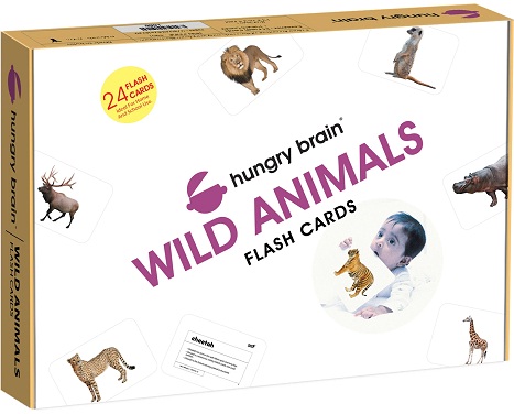 HUNGRY BRAIN WILD ANIMALS flash cards