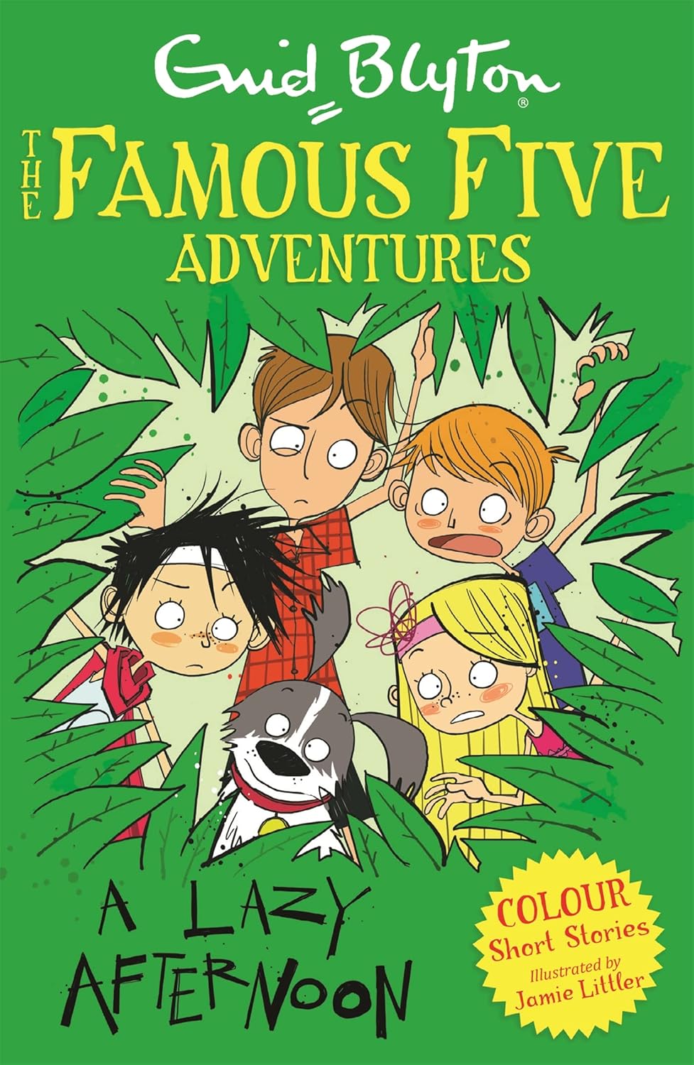 A LAZY AFTERNOON famous five adventures