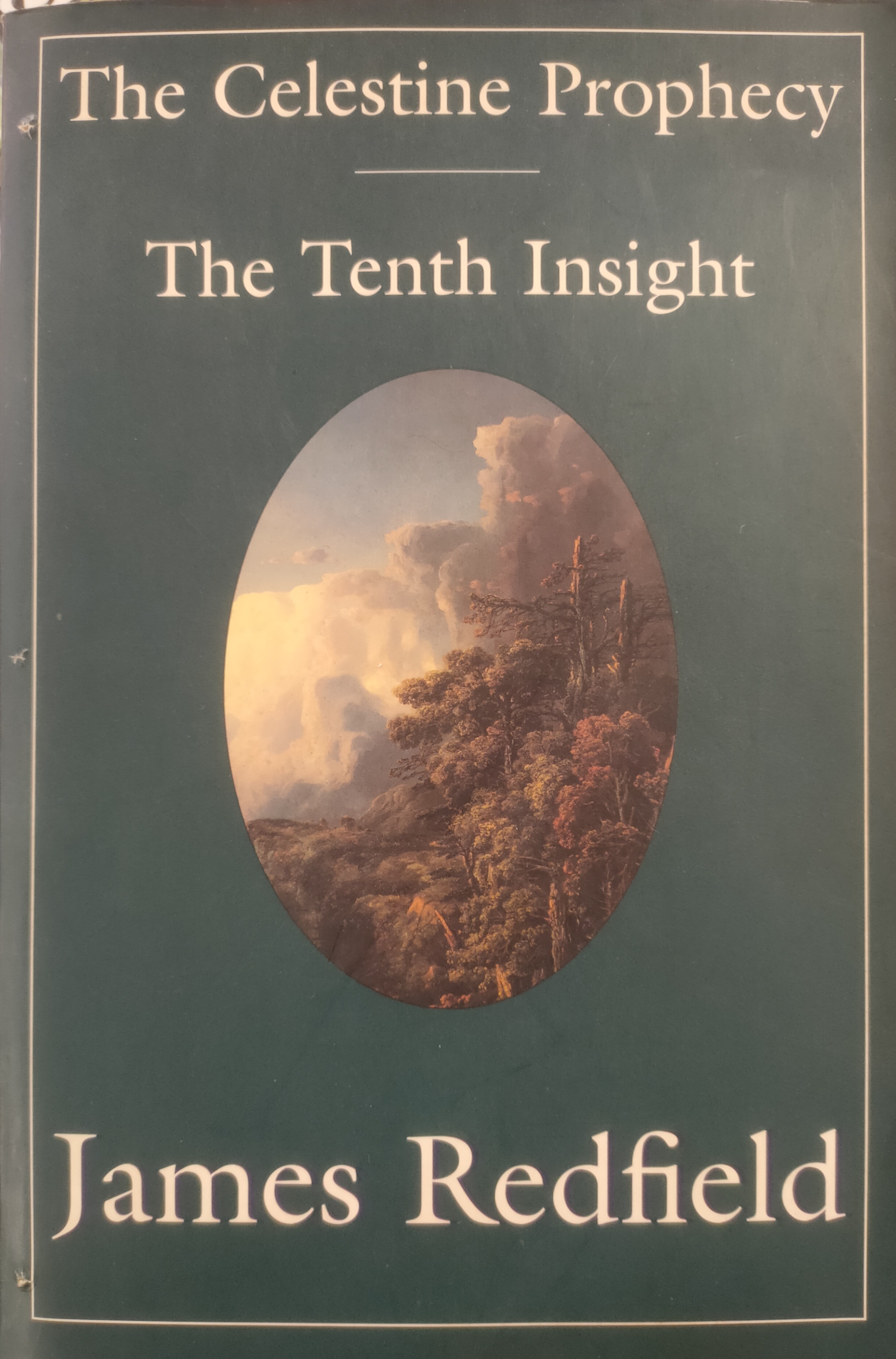 THE CELESTINE PROPHECY / THE TWELFTH INSIGHT 2 IN 1