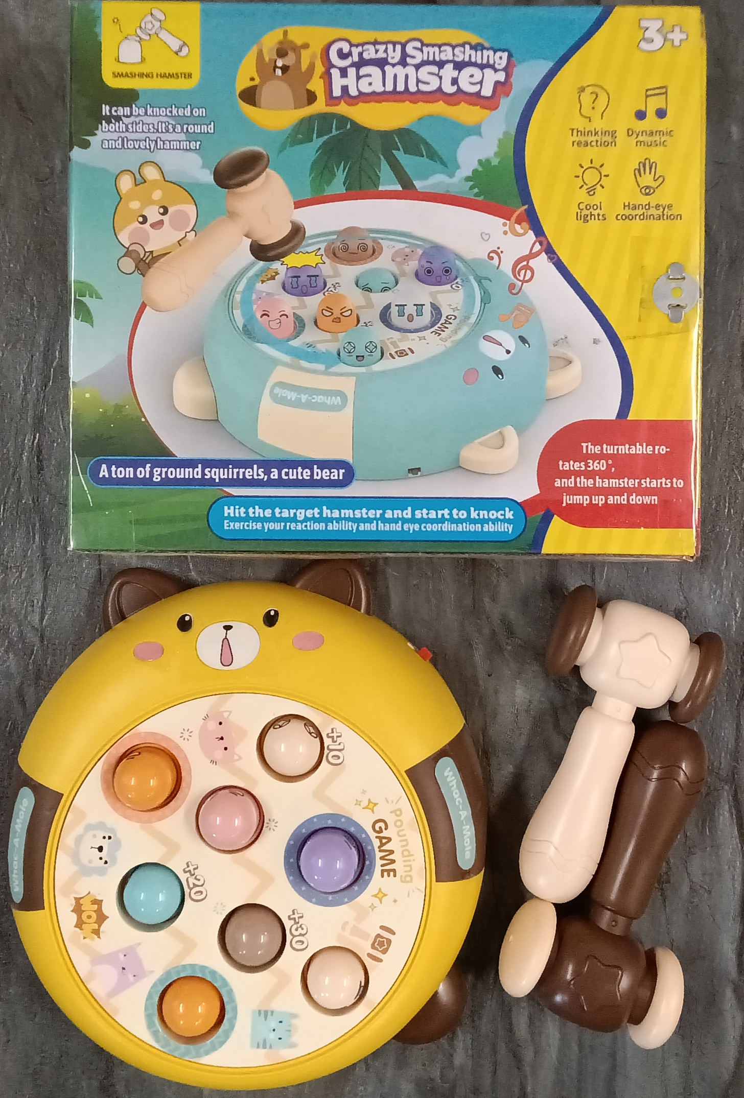 CRAZY SMASHING HAMSTER