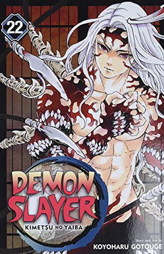 DEMON SLAYER 22