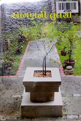 ANGAN NI TULSI 