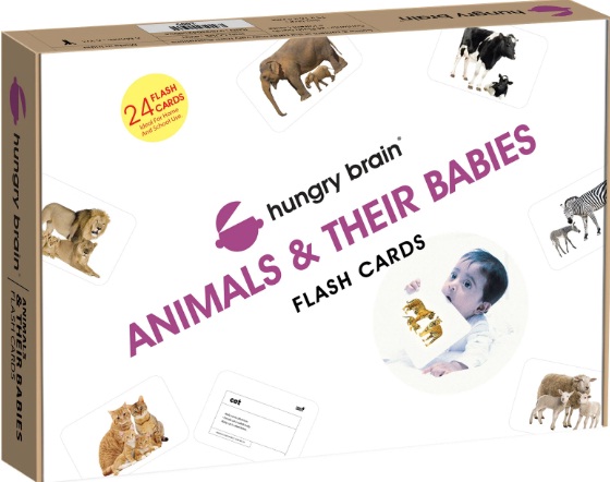 HUNGRY BRAIN ANIMALS & THEIR BABIES flash card