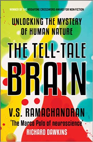 THE TELL TALE BRAIN