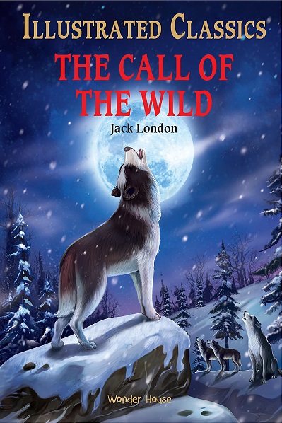 THE CALL OF THE WILD wonder house