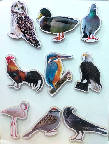 WOODEN MAGNETIC BIRDS