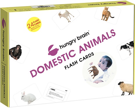 HUNGRY BRAIN DOMESTIC ANIMALS flash cards