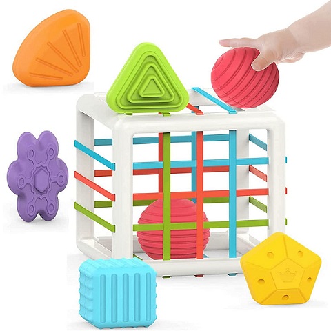 SENSORY SHAPE SORTER