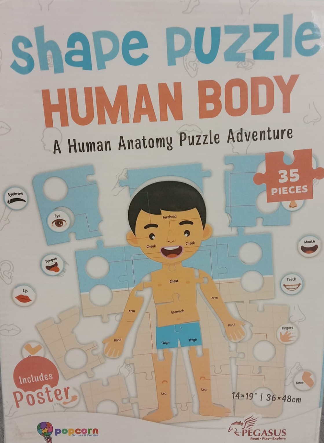SHAPE PUZZLE HUMAN BODY