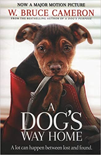 A DOG'S WAY HOME