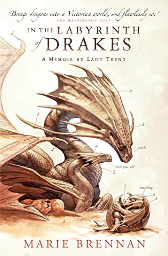 IN THE LABYRINTH OF DRAKES 4