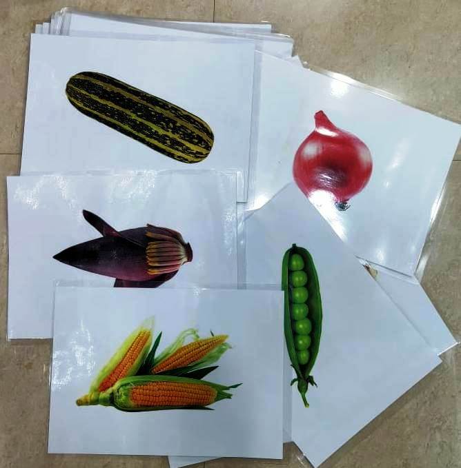 VEGETABLES flash cards A4