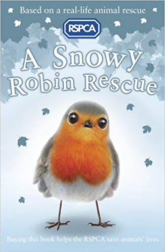 A SNOWY ROBIN RESCUE